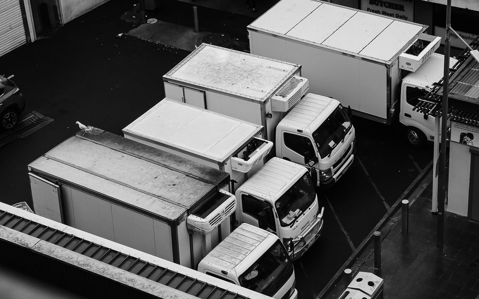 Fleet of trucks parked in a yard.